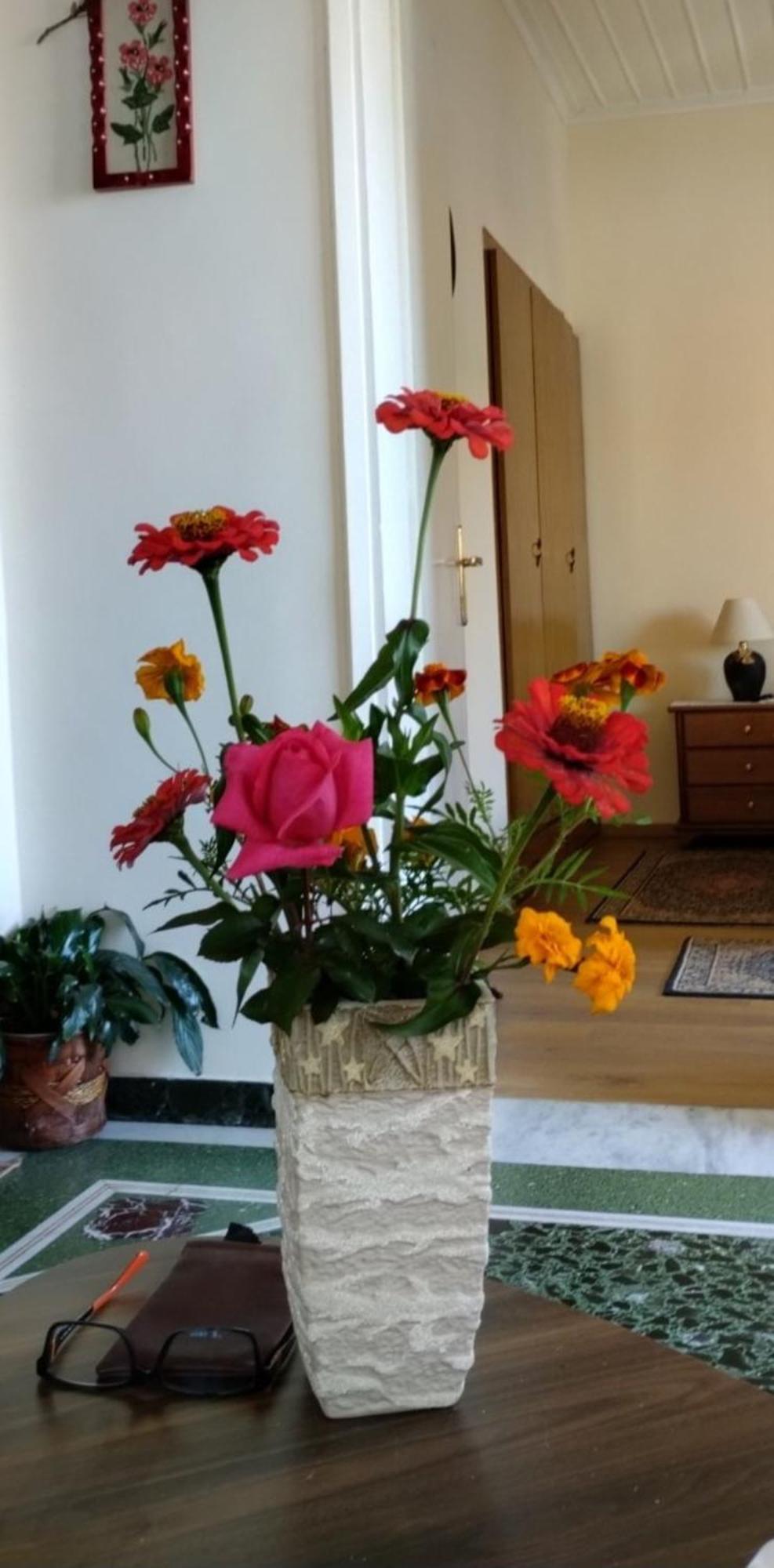 Tanias Apartment 西亚蒂斯塔 外观 照片